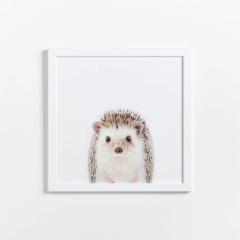 Baby Hedgehog Framed Wall Art-20″x20″