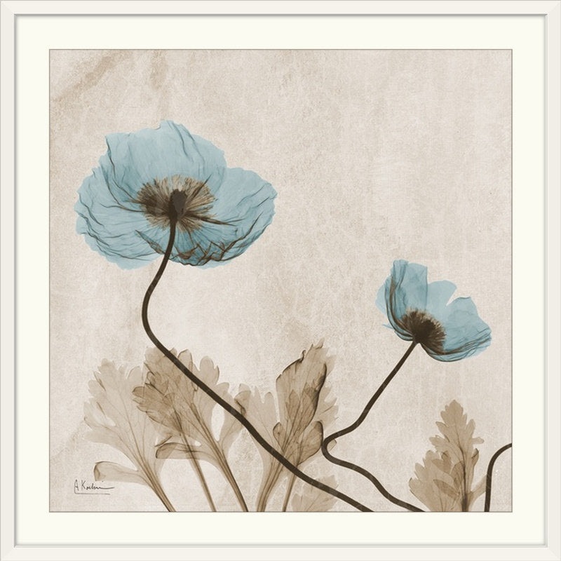 Manigault ‘Poppy X-Ray by Kiranjit Photographic Print Wade Logan Size: 38″ H x 38″ W x 1″ D Format: White Framed