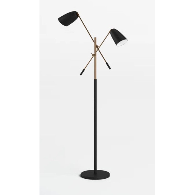 Rakiura 66.1” Task Floor Lamp