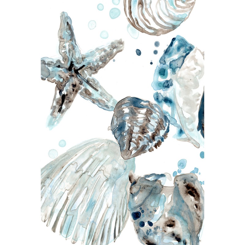 Cerulean Seashells II by June Erica Vess – Wrapped Canvas Painting Print Beachcrest Home Size: 48″ H x 32″ W   Format: White Single Framed, Mat Included: No