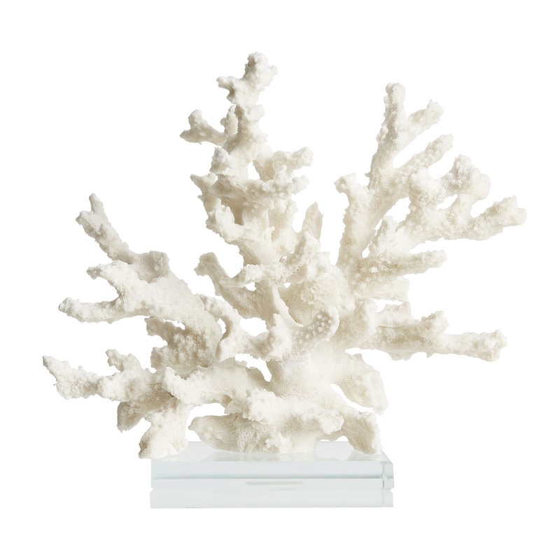 Branching Coral With Clear Glass Base