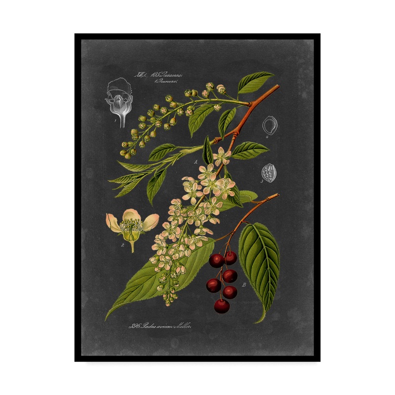 ‘Midnight Botanical II’ Graphic Art Print on Wrapped Canvas Charlton Home Size: 24″ H x 18″ W x 2″ D