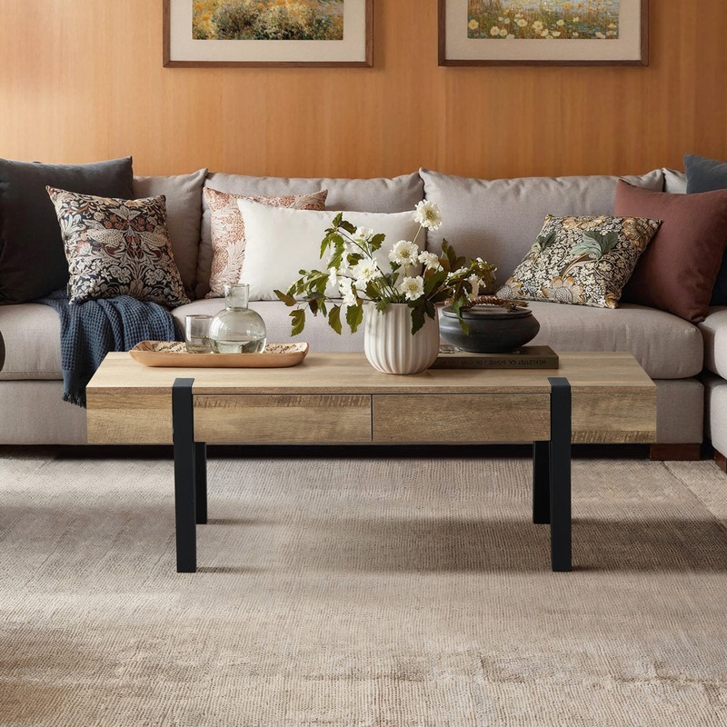 Regalado 2-Drawer Coffee Table Trent Austin Design