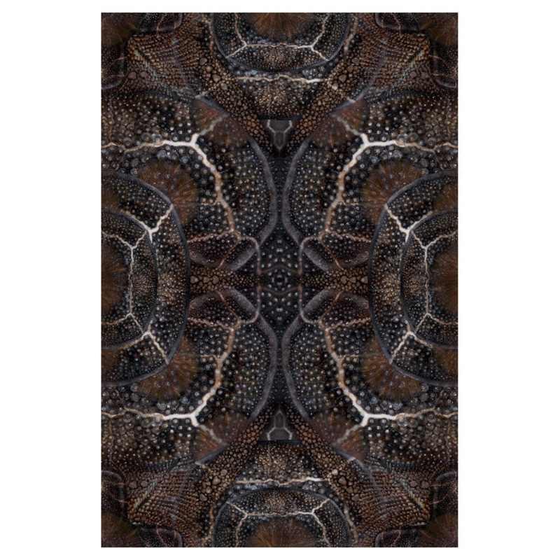 Blooming Seadragon Rug