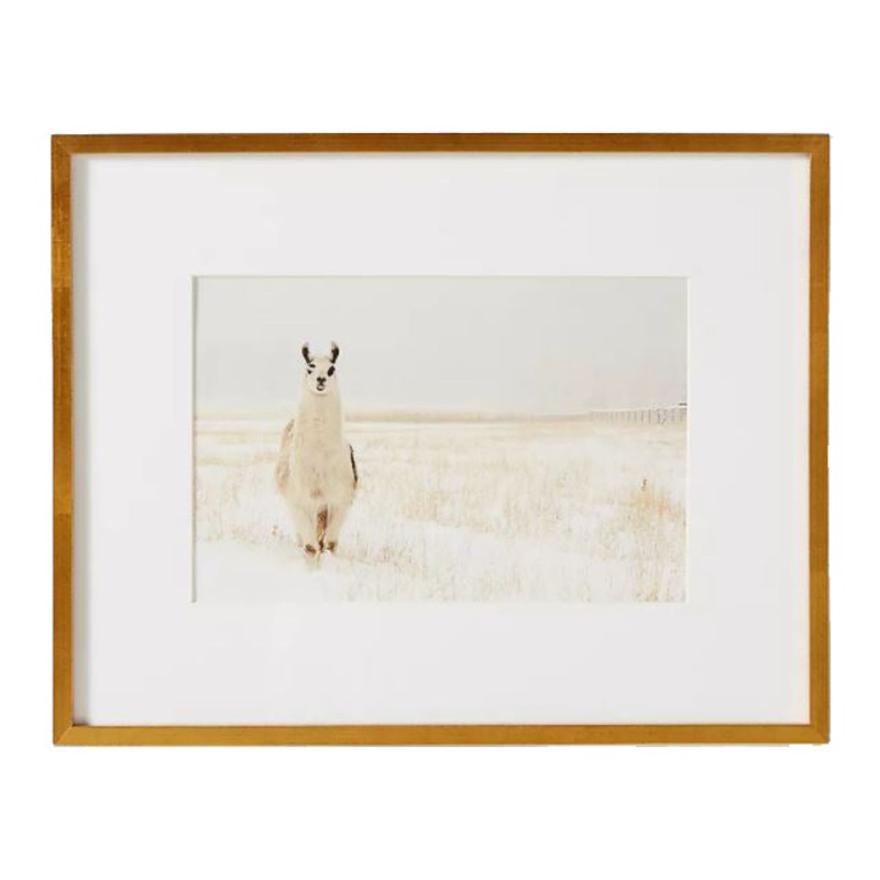 Llama In The Snow Wall Art