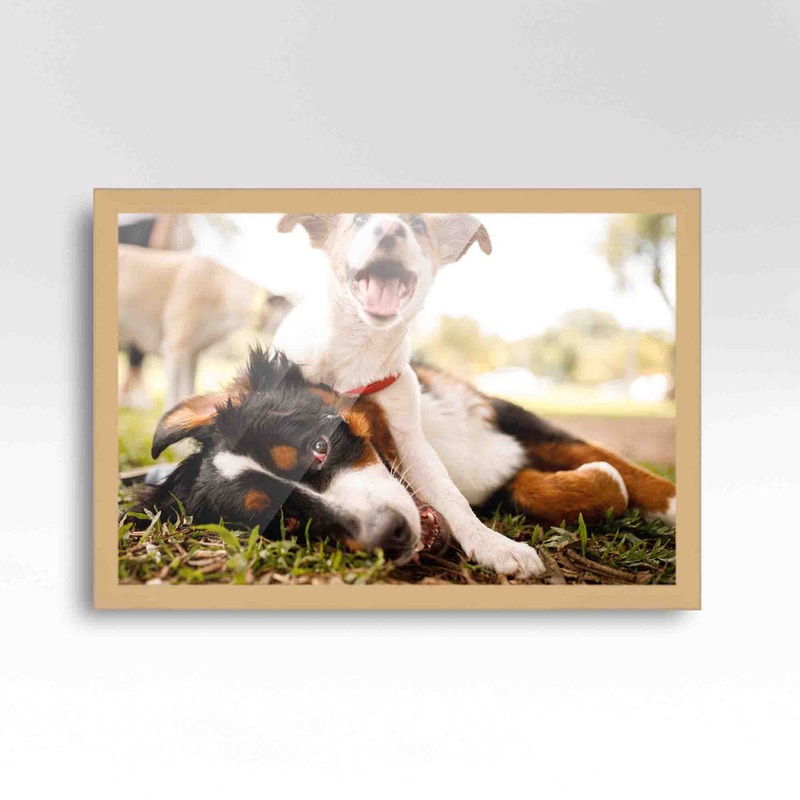 Wood Single Picture Frame in Brown CustomPictureFrames.com Color: Brown/White/Green Picture Size: 20″ x 25″