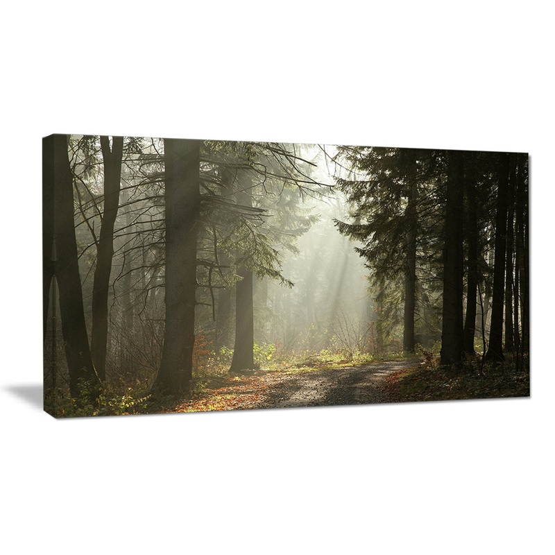 Dark Green Forest with Sun Rays – Photograph Print on Canvas Design Art Size: 16″ H x 32″ W x 1″ D