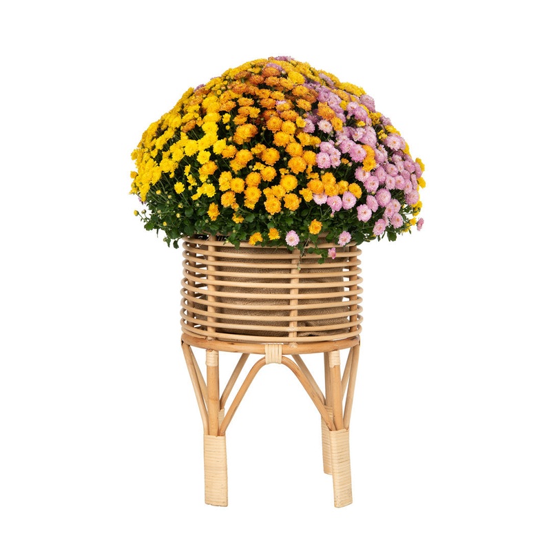 Andres Plant Stand Bay Isle Home Size: 18″ H x 12″ L x 12″ D