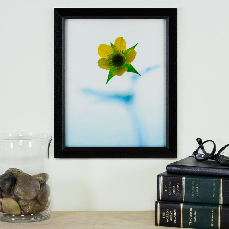 Single Picture Frame Alcott Hill Color: Black Photo Size: 24″ x 33″