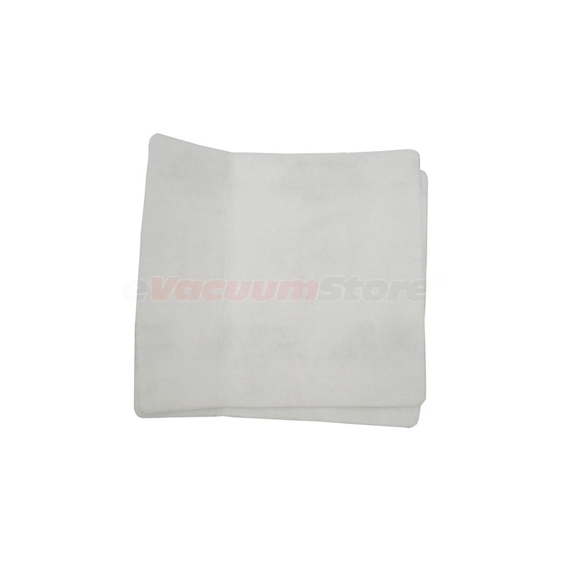 Electrolux Renaissance Filter 2 Pack