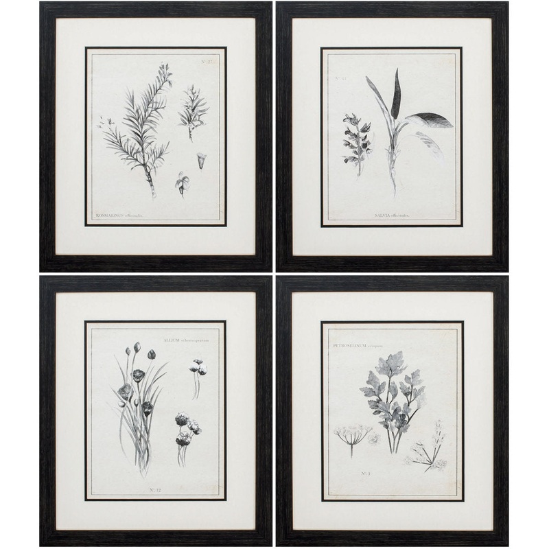 Latin Botanicals’ 4 Piece Picture Frame Print Set on Paper Gracie Oaks