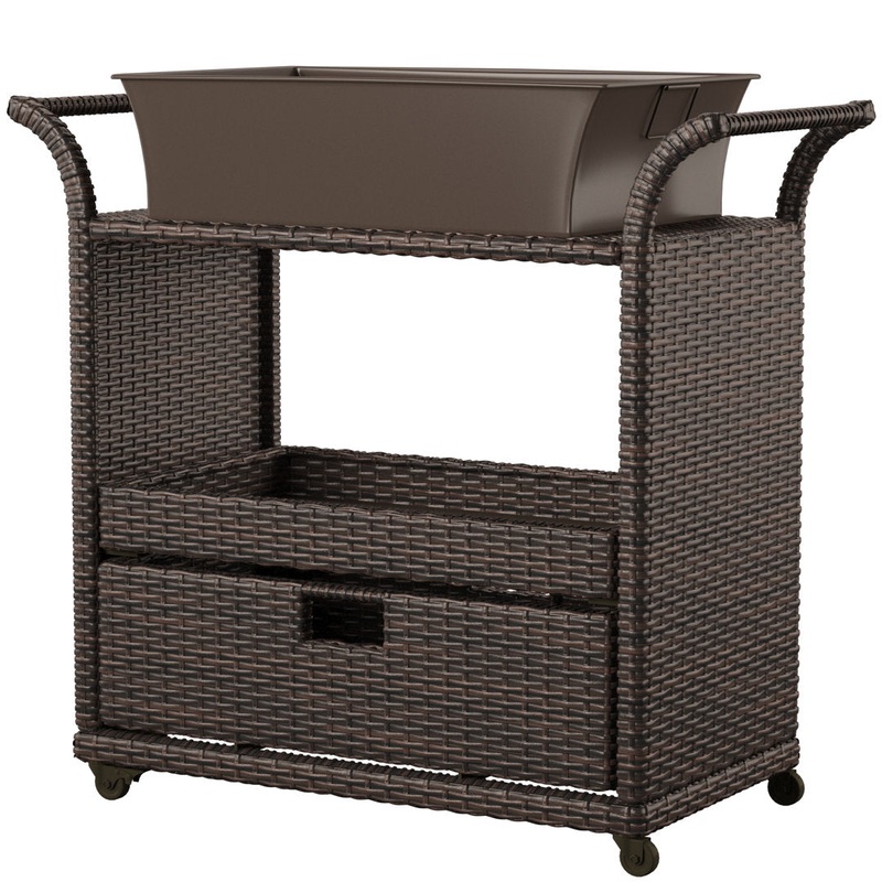 Zytavious Bar Cart with Iron and Wicker Red Barrel Studio