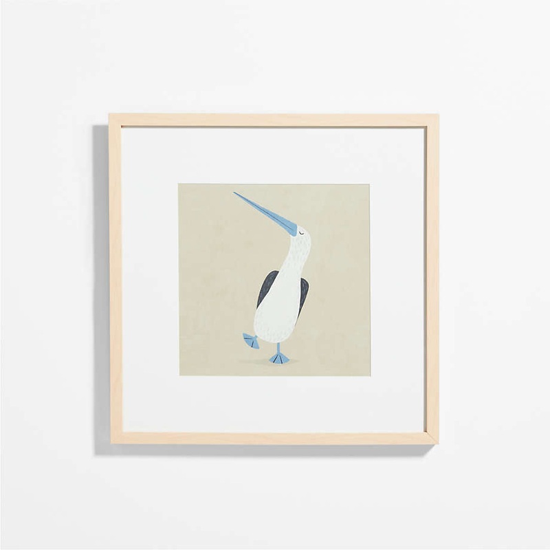Blue Footed Bird Framed Wall Art Print