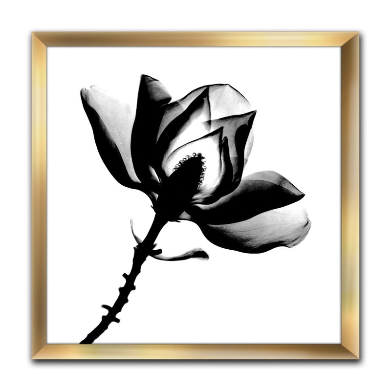 Magnolia X-Ray – Picture Frame Print on Canvas East Urban Home Size: 16″ H x 16″ W x 1″ D Format: Gold Framed