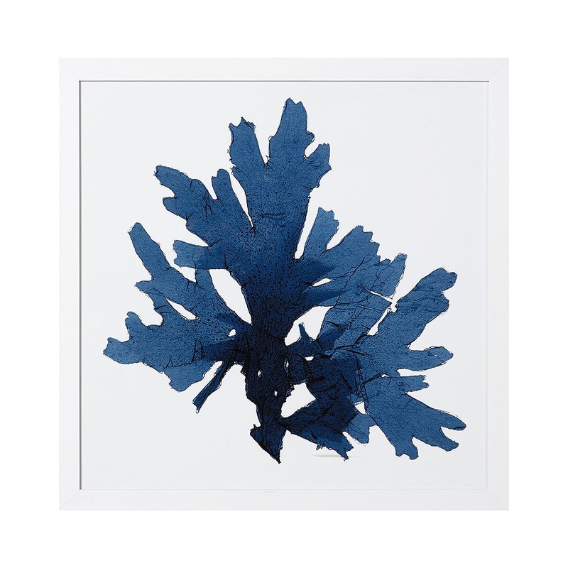 Framed Coral Print 1