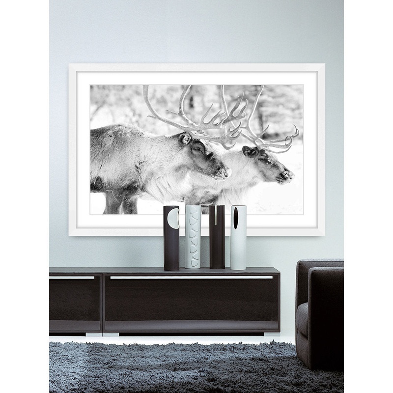 Elk Pair’ Framed Photographic Print on Paper Marmont Hill Size: 12″ H x 18″ W x 1.5″ D