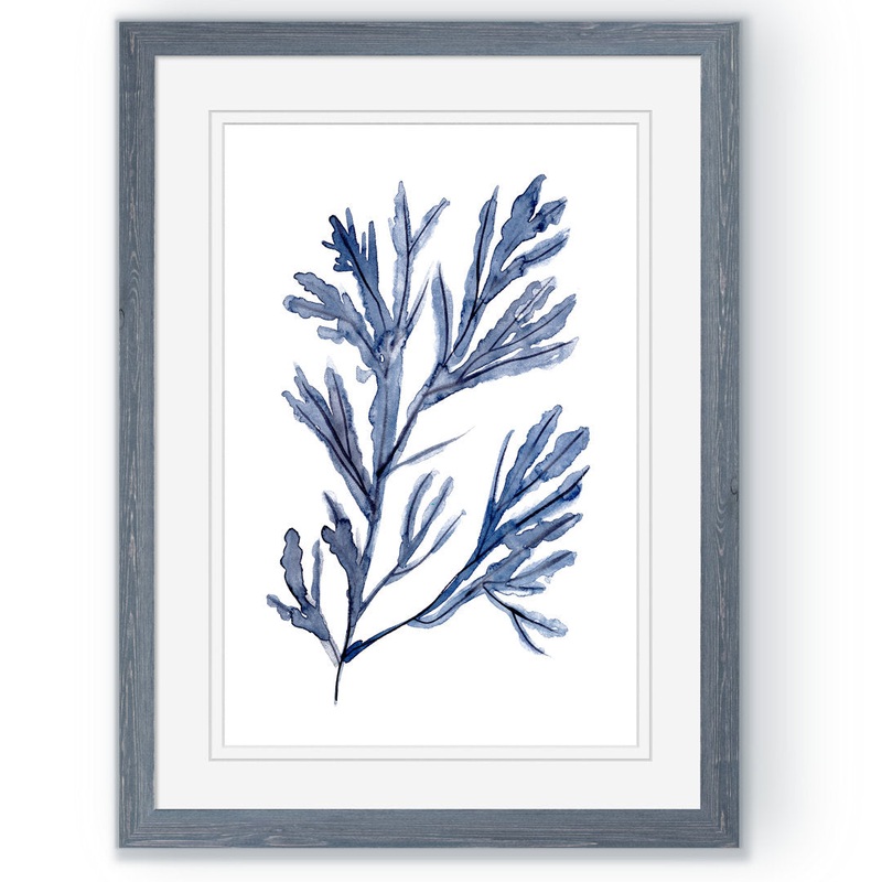 Seaweed Under Water I’ by Paul Cezanne – Picture Frame Painting Print Highland Dunes Mat Color: White Size: 24″ H x 18″ W x 1.25″ D Format: Gray Paper Framed