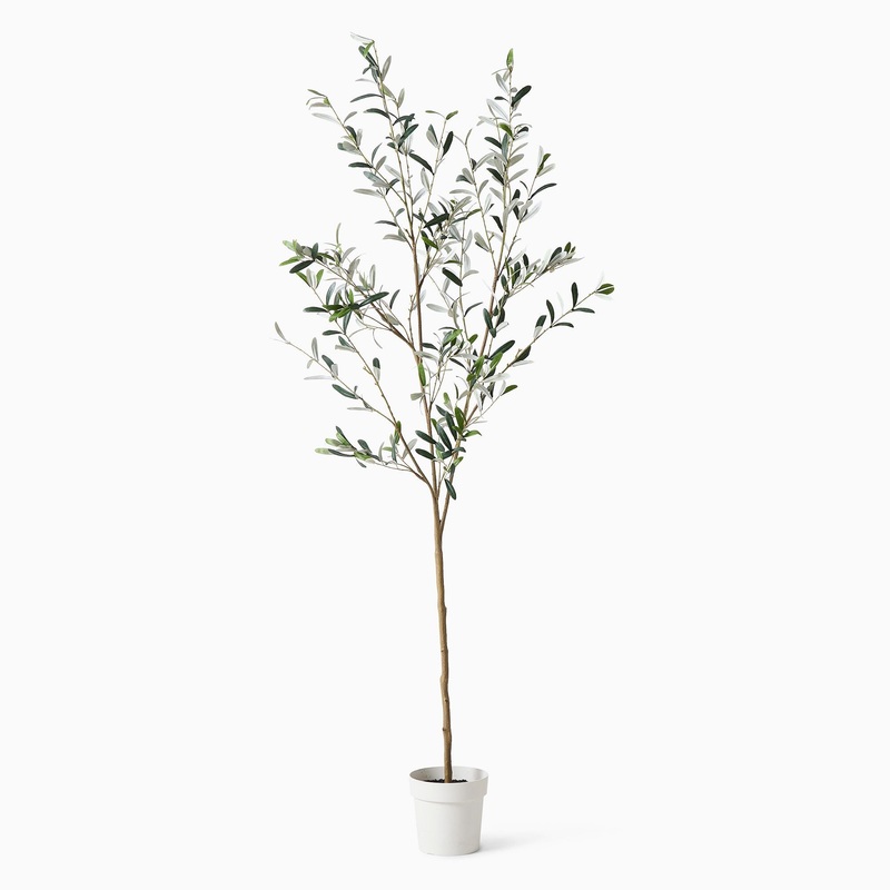 Faux Potted Black Olive Tree