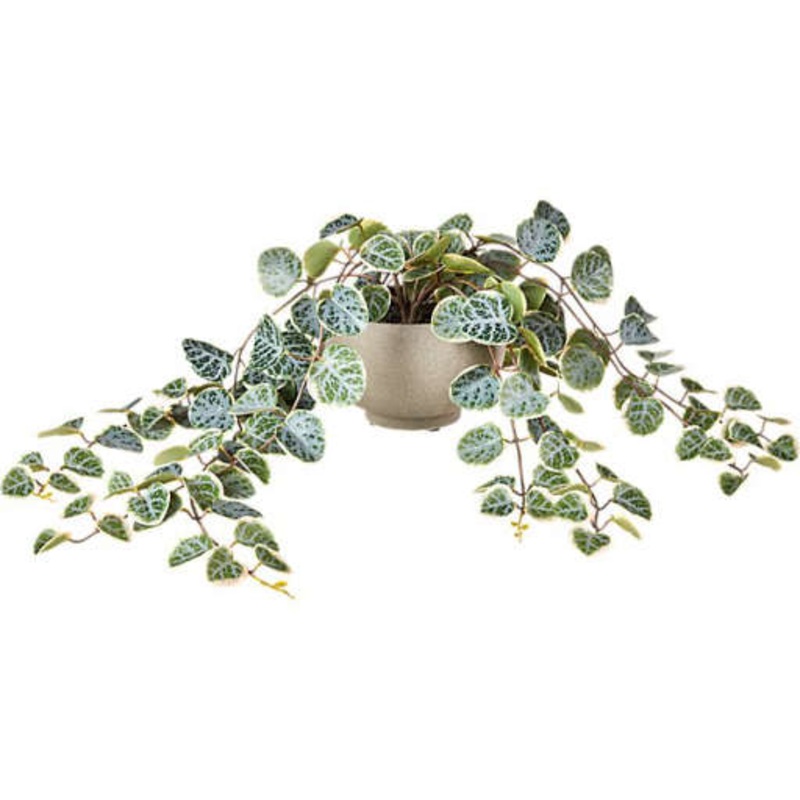 Potted Faux Eucalyptus 8″