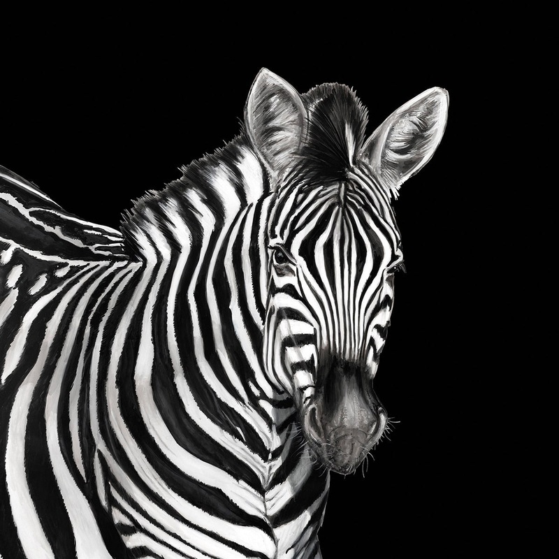 Dolce & Gabbana Zebra Mural Wallpaper