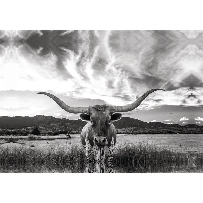 Black And White Longhorn Cow I – Wrapped Canvas Photograph Steelside Size: 12″ H x 18″ W   Format: Gold Framed Canvas, Mat Included: No