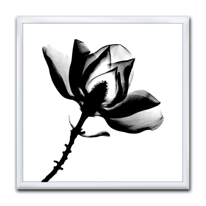 Magnolia X-Ray – Picture Frame Print on Canvas East Urban Home Size: 30″ H x 30″ W x 1″ D Format: White Framed