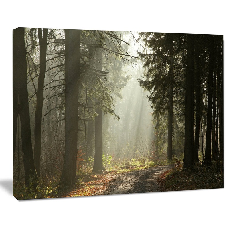 Dark Green Forest with Sun Rays – Photograph Print on Canvas Design Art Size: 8″ H x 12″ W x 1″ D