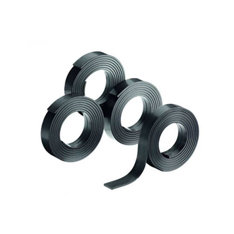 Miele Scout RX1 Magnetic Strips