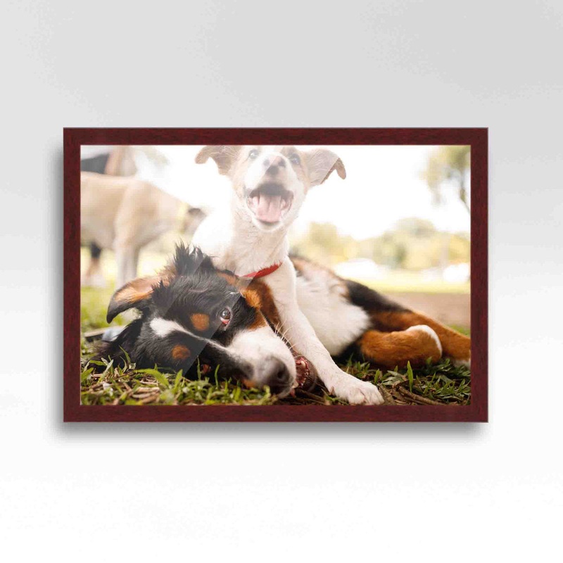 Wood Single Picture Frame in Brown CustomPictureFrames.com Color: Brown Picture Size: 20″ x 30″