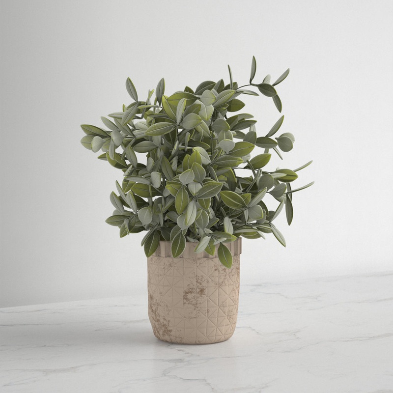 10.25″ Artificial Eucalyptus Plant in Pot Kelly Clarkson Home