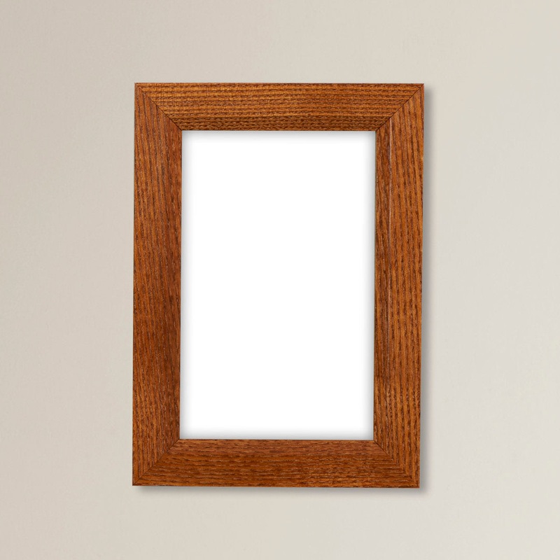 Single Picture Frame Alcott Hill Color: Brown Photo Size: 13″ x 19″