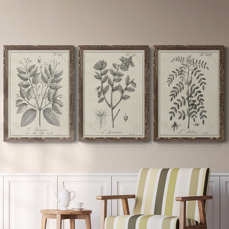 Antique Black and White Botanical VII – 3 Piece Picture Frame Drawing Print Set on Canvas Kelly Clarkson Home Frame Color: Walnut Size: 37.5″ H x 82.5″ W
