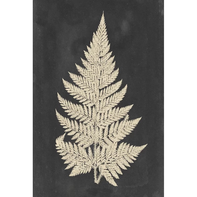 Linen Fern Graphic Art on Canvas