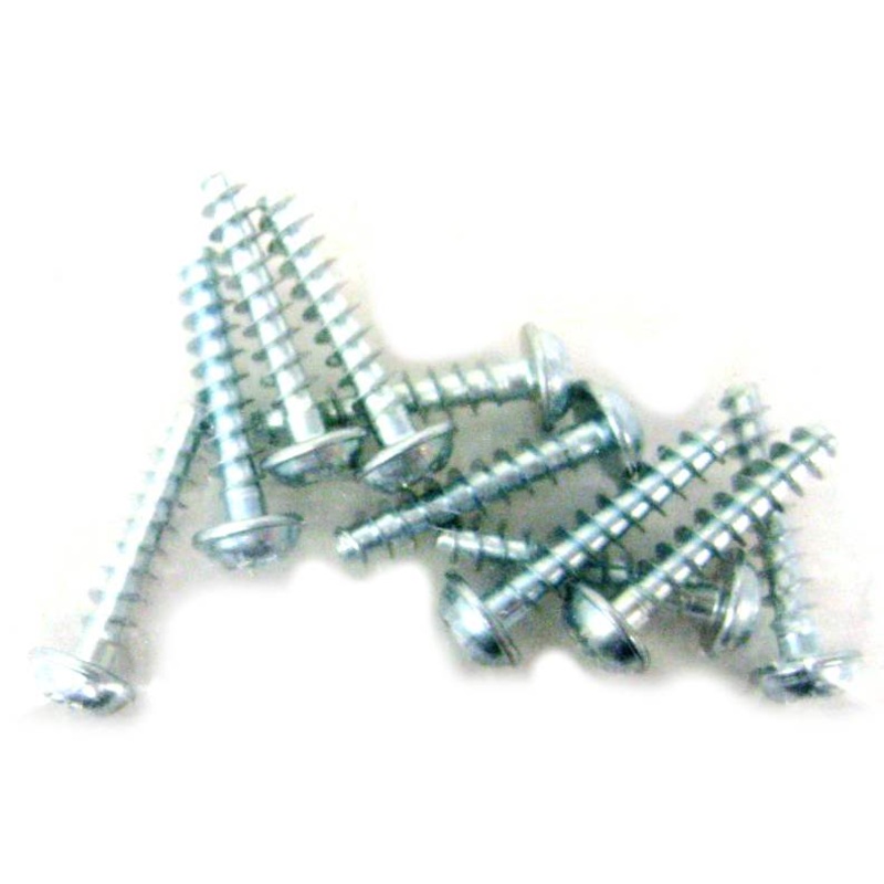 Sebo 01017ER Screw STS 4 x 20-T20 10pk