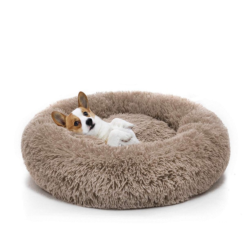 Toccoa Doughnut Tucker Murphy Pet Color: Coffee Size: Medium (23.6″ W x 23.6″ D x 5.5″ H)