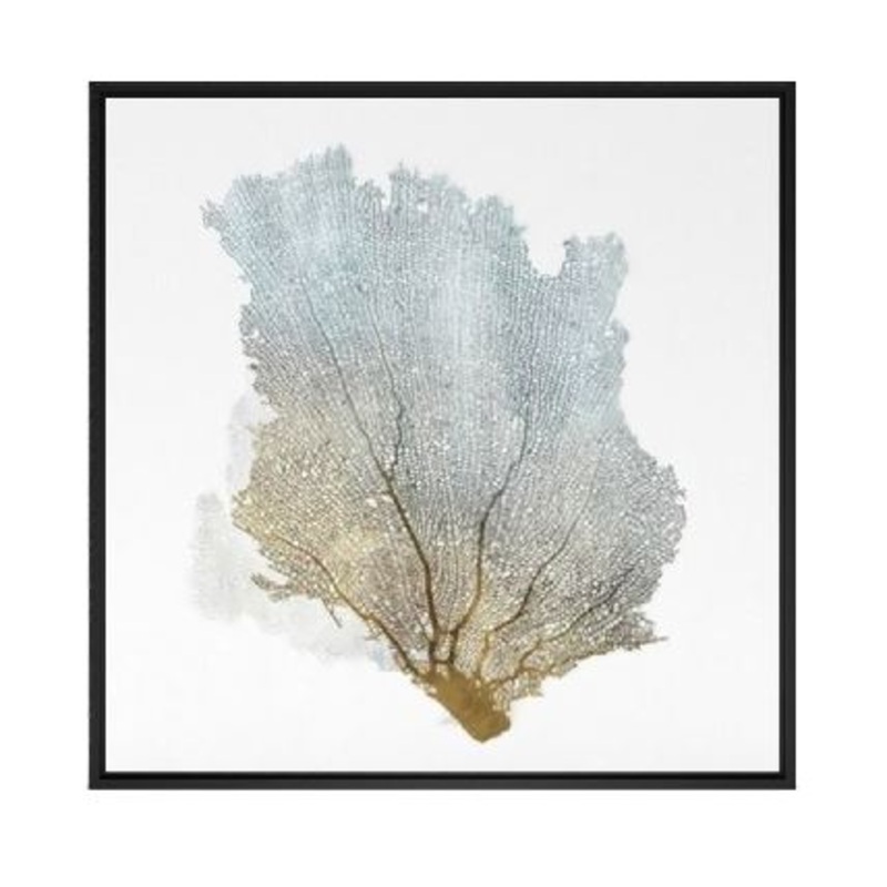 Delicate Coral I by Isabelle Z Painting on Canvas With Frame-32”x32”