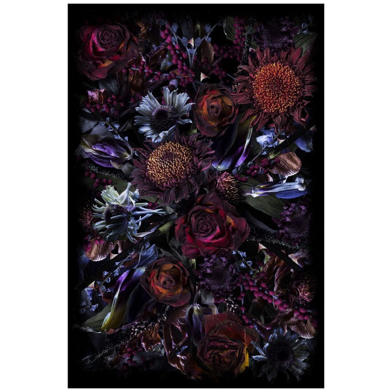 Fool’s Paradise Rug