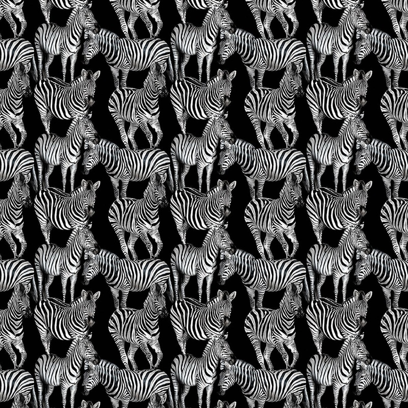 Dolce & Gabbana Multi Zebra Mural Wallpaper